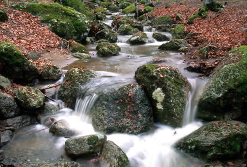 Il Torrente Onazio al Parco Faunistico